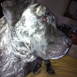 Meet your Posher, Valerie